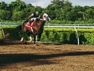 Guide till hur betting odds fungerar