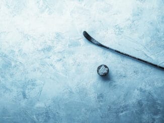 Vem är Anders Salming