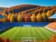 Svensk fotbollspuls illustration